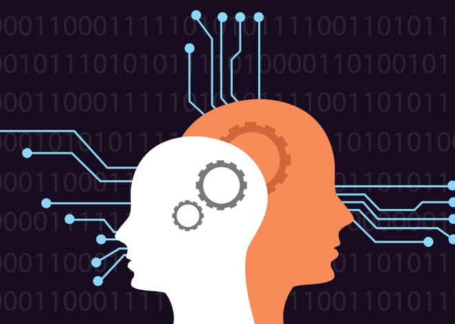 Uma Introdução ao Campo Emergente da Neurociência Aplicada à Logística