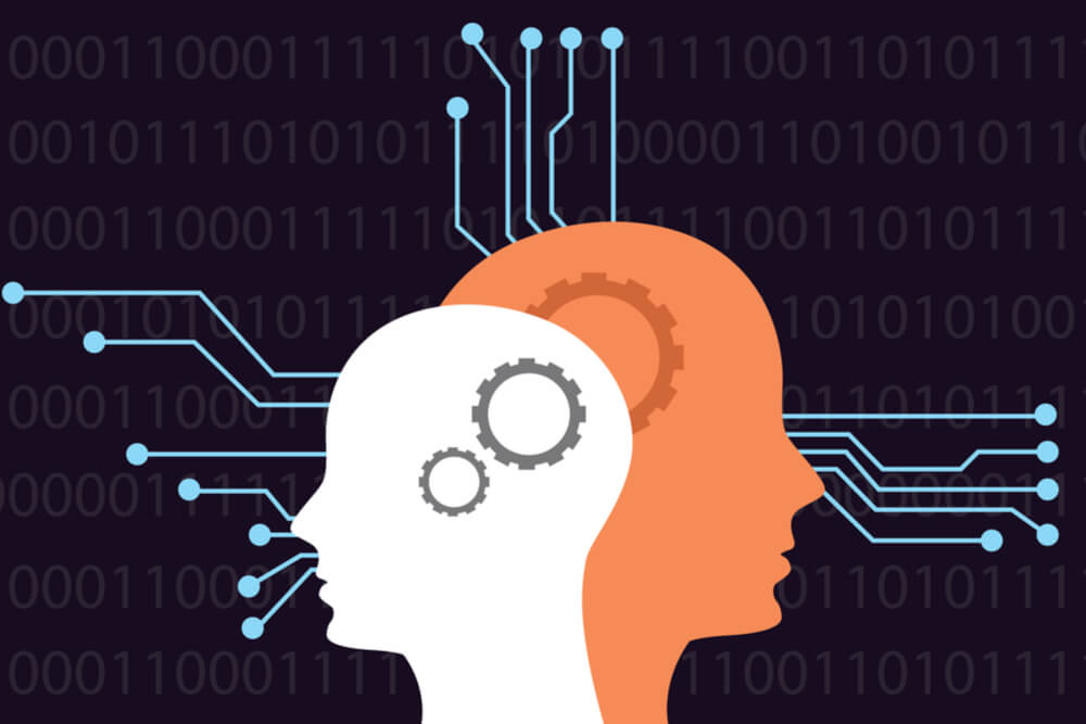 Uma Introdução ao Campo Emergente da Neurociência Aplicada à Logística