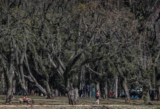 São Paulo termina agosto com um dos menores índices de chuva dos últimos anos