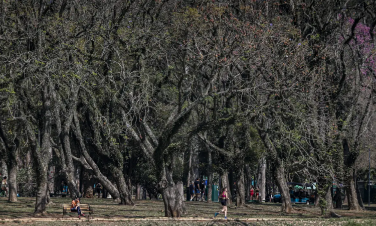São Paulo termina agosto com um dos menores índices de chuva dos últimos anos