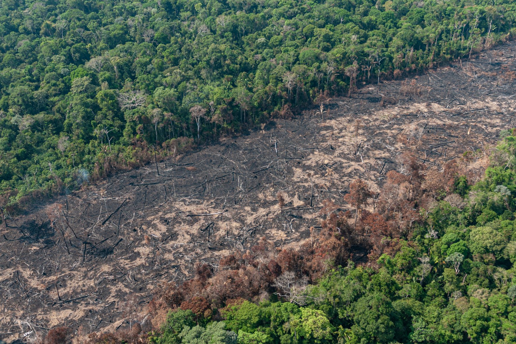 Governo aprova Plano Clima após reduzir responsabilidade do setor agrícola