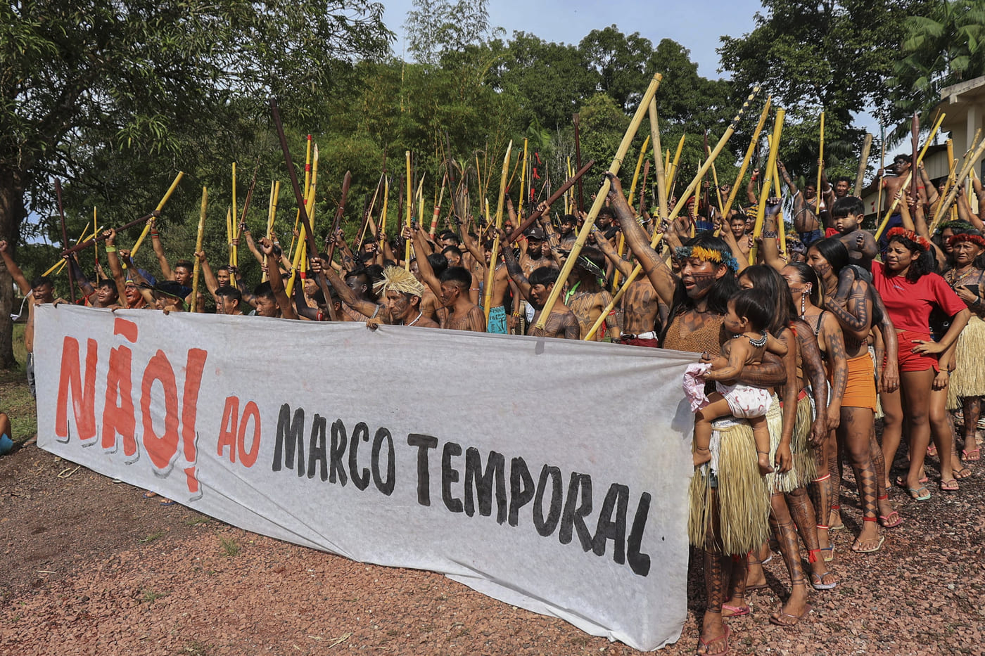 Consequências negativas para a humanidade: Marco temporal e Projeto de Lei da devastação sofrem derrotas