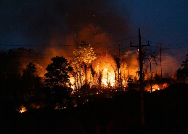 Quem está disposto a apostar no apocalipse?