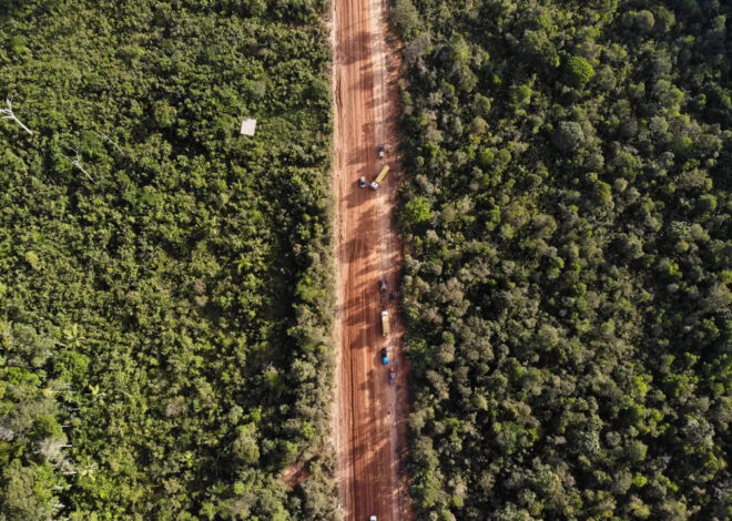 BR-319: O Início da Era da Destruição Ambiental