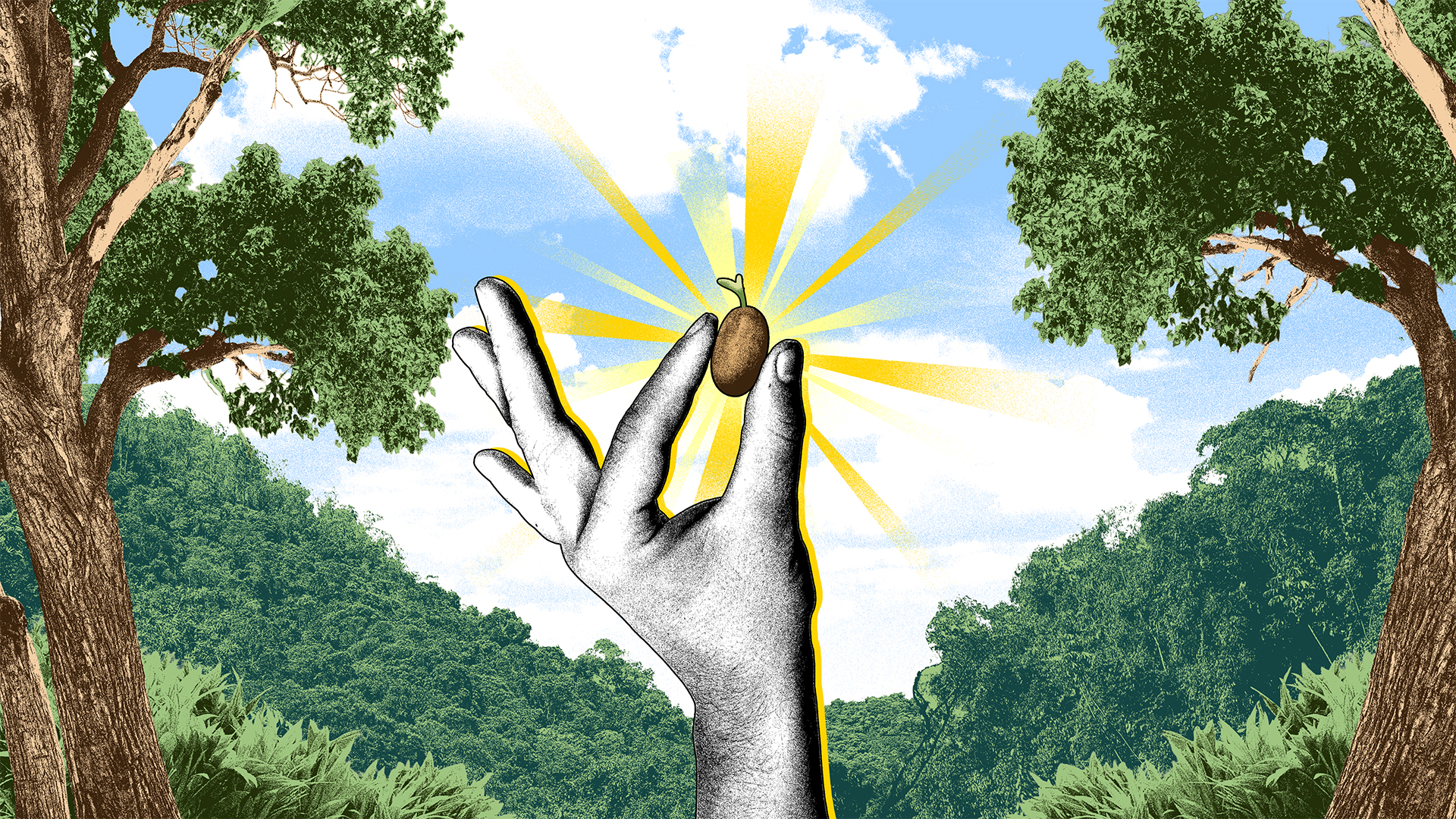Do solo à floresta: a economia oculta da recuperação florestal no Brasil