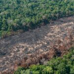 No “Dia do Agro”, setor rural avança em regulamentações e enfraquece a supervisão ambiental