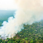 Pesquisadores revelam novos insights sobre os limites críticos da Amazônia, acendendo sinais de alerta