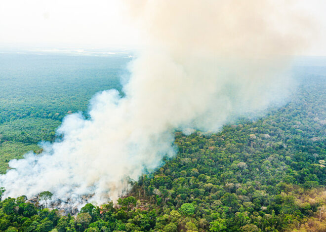 Pesquisadores revelam novos insights sobre os limites críticos da Amazônia, acendendo sinais de alerta