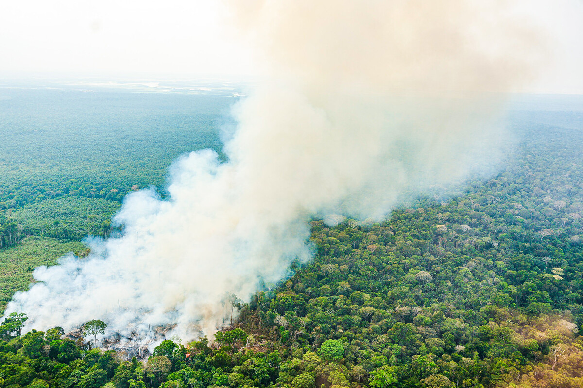 Pesquisadores revelam novos insights sobre os limites críticos da Amazônia, acendendo sinais de alerta