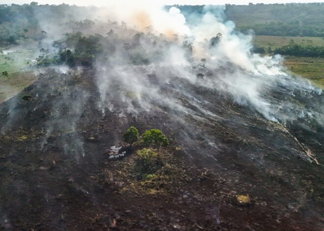 Segundo turno das eleições definirá rumo da Amazônia